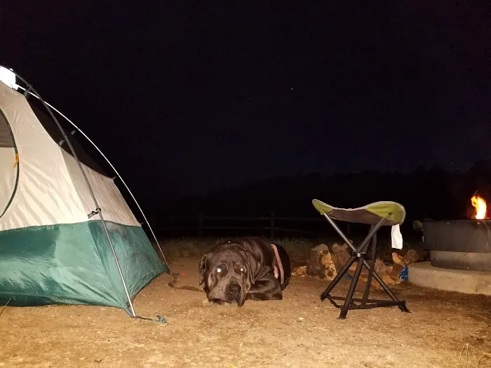 El Prado Group Campground - Big Sage Picture 1