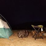 El Prado Group Campground - Big Sage