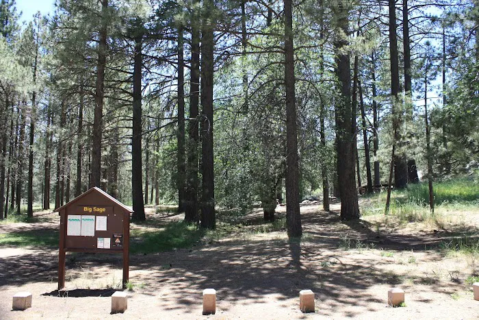 El Prado Group Campground - Big Sage Picture 9