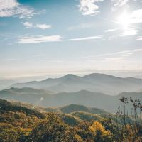 Wilson's Riverfront RV Park ico