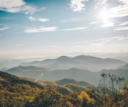 Wilson's Riverfront RV Park