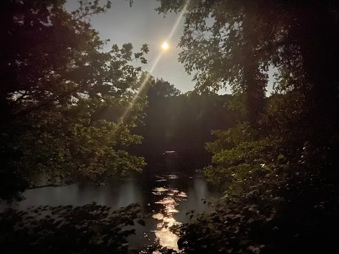 Wilson's Riverfront RV Park Picture 7