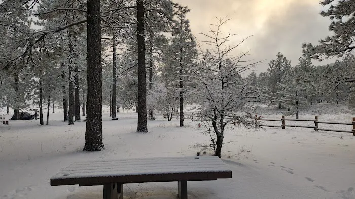 Laguna Campground Picture 5