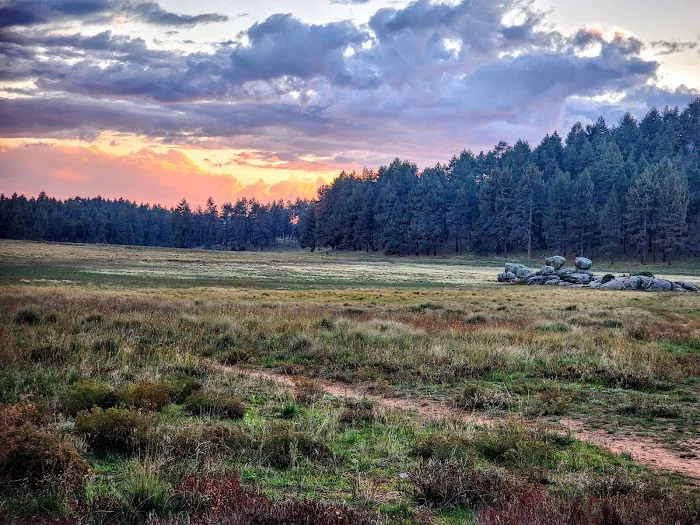 Laguna Campground Picture 7