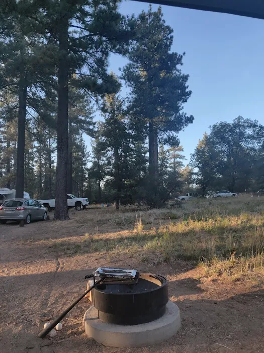 Laguna Campground Picture 10