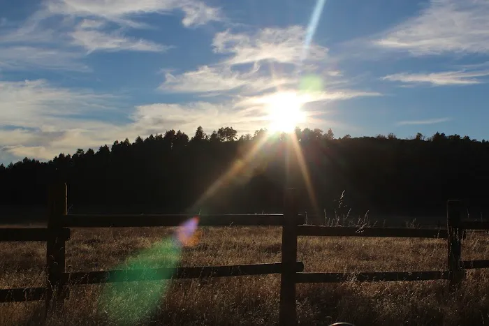 Laguna Campground Picture 3