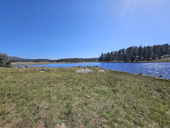 Laguna Campground Picture 2