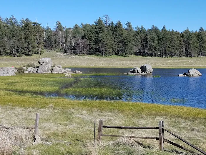 El Prado Group Campground Picture 1