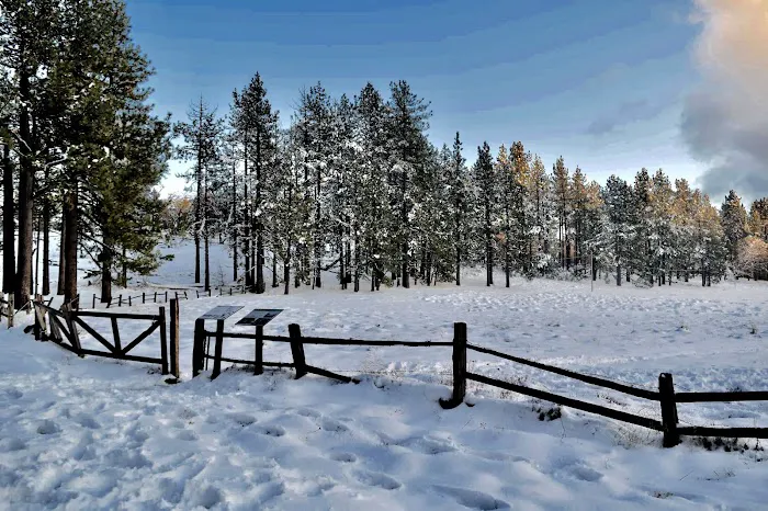 El Prado Group Campground Picture 2