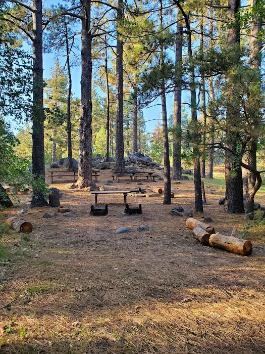 El Prado Group Campground Picture 3