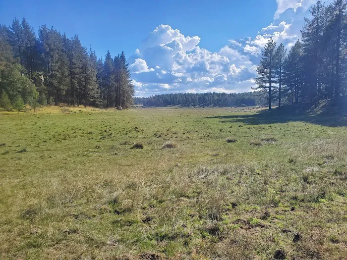 El Prado Group Campground Picture 4