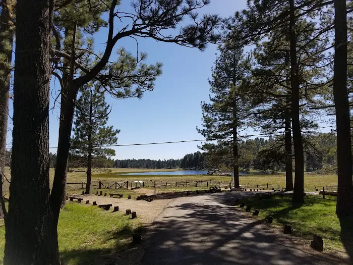 El Prado Group Campground Picture 10