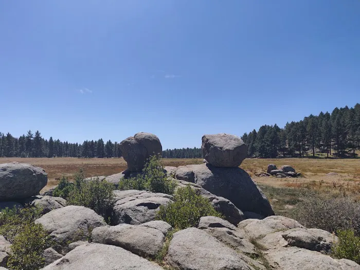 El Prado Group Campground Picture 6