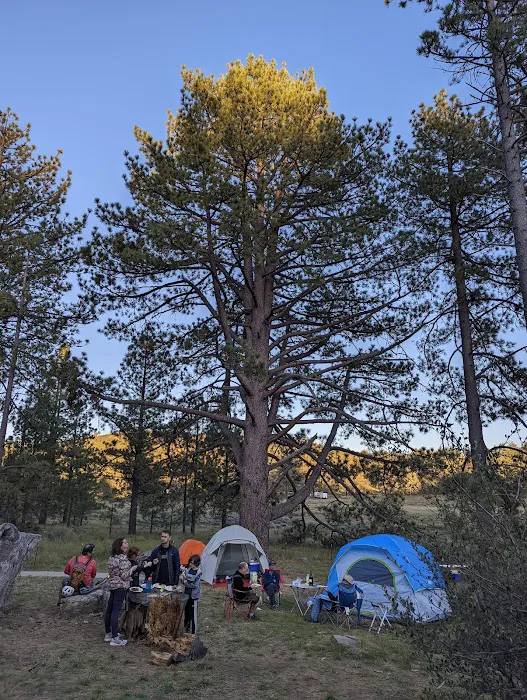 El Prado Group Campground Picture 9