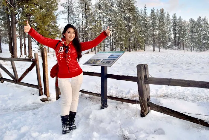 El Prado Group Campground Picture 8