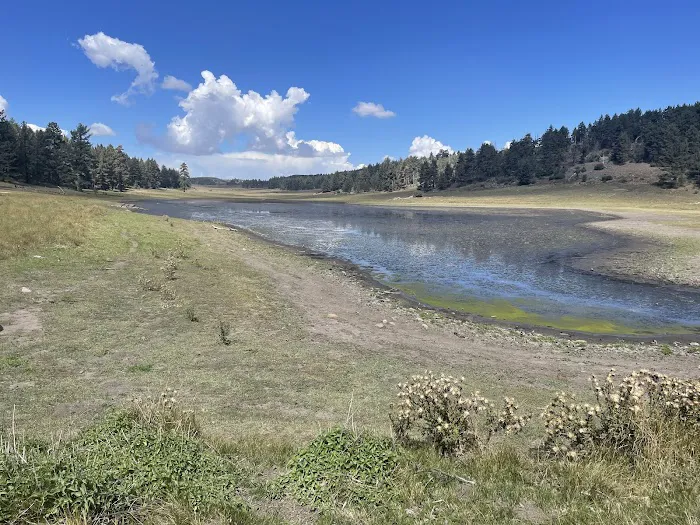 Laguna Campground Picture 3