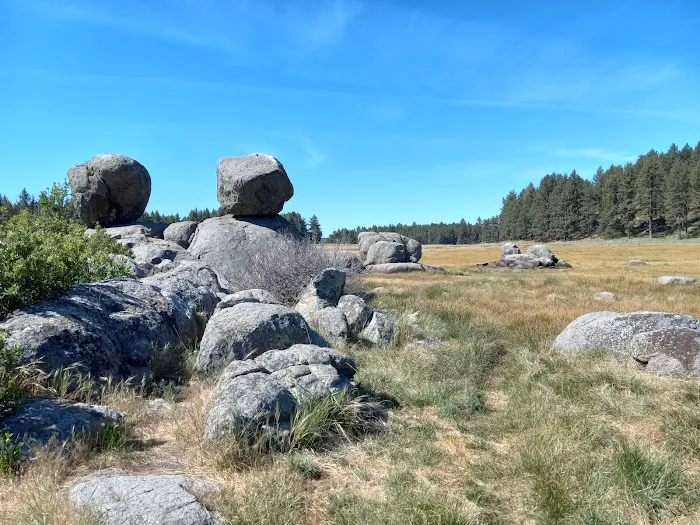 Laguna Campground Picture 6