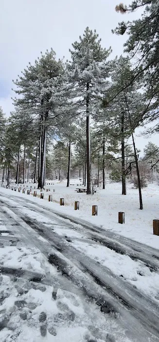 Laguna Campground Picture 4