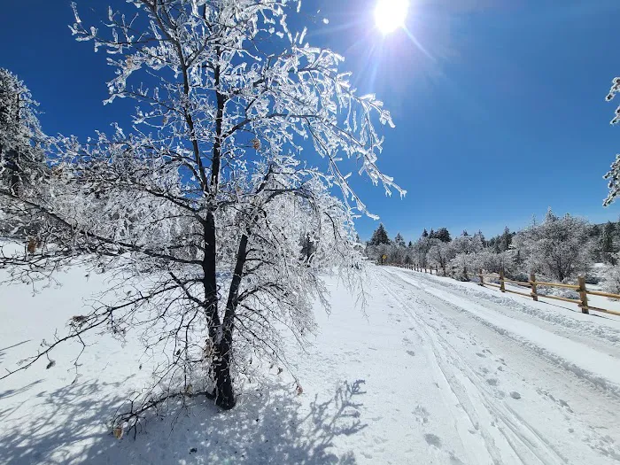 Laguna Campground Picture 5