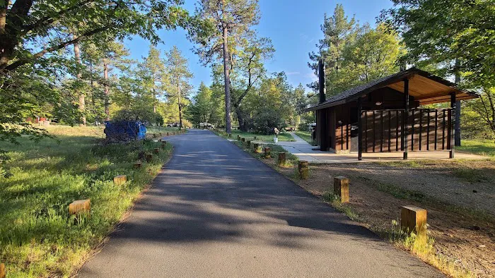 Laguna Campground Picture 2