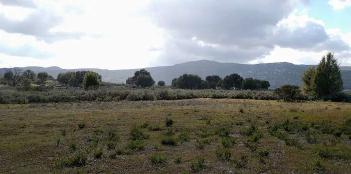 Sagebrush Safari Campsite Picture 1