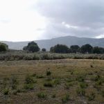 Sagebrush Safari Campsite