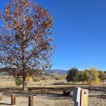 Lake Morena County Park Campground