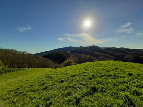 Clinch Mountain RV Park Picture 4