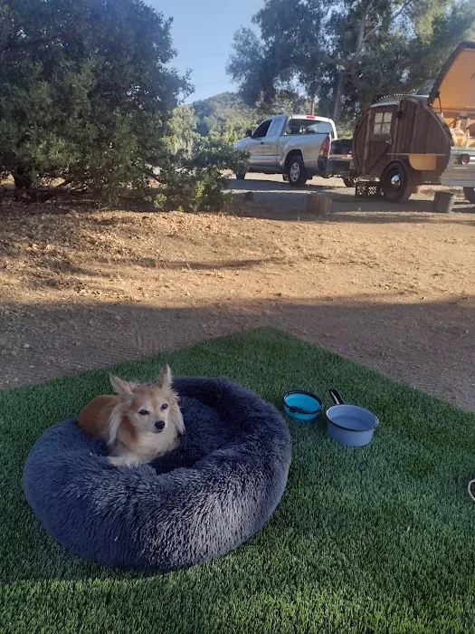 Boulder Oaks Equestrian Campground Picture 5