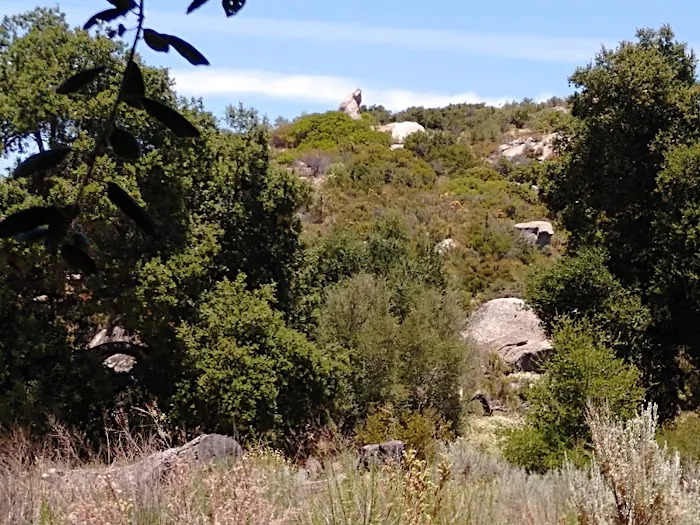 Boulder Oaks Equestrian Campground Picture 3