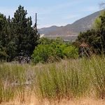 Boulder Oaks Equestrian Campground