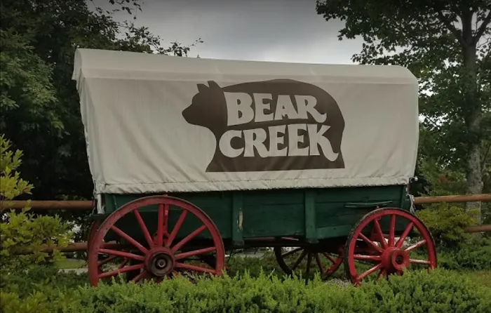 Asheville Bear Creek RV Park Picture 10