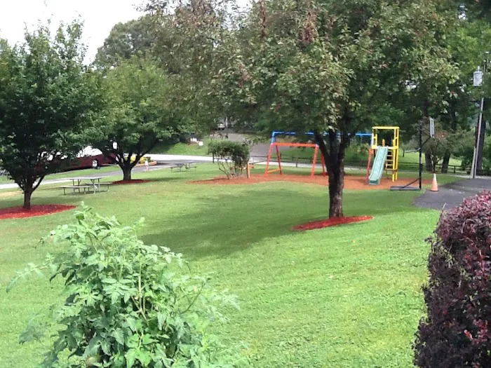 Asheville Bear Creek RV Park Picture 8