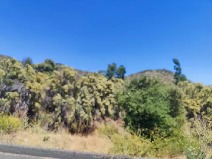 Buckman Springs Information Site Picture 6