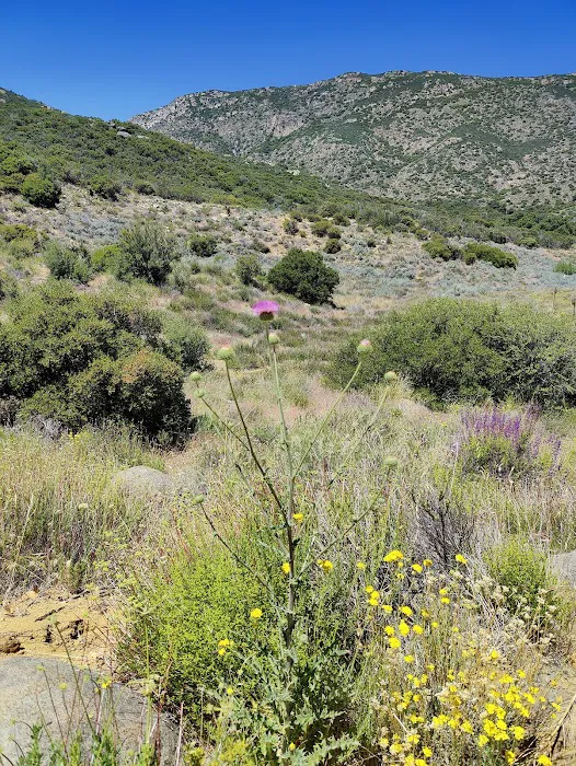Cibbets Flat Campground Picture 10