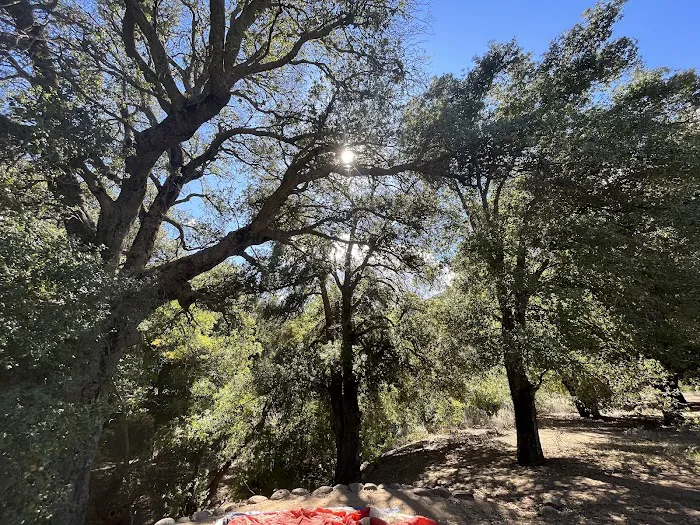 Cibbets Flat Campground Picture 6