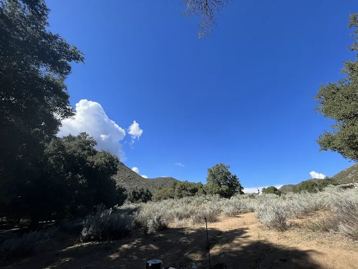 Cibbets Flat Campground Picture 9