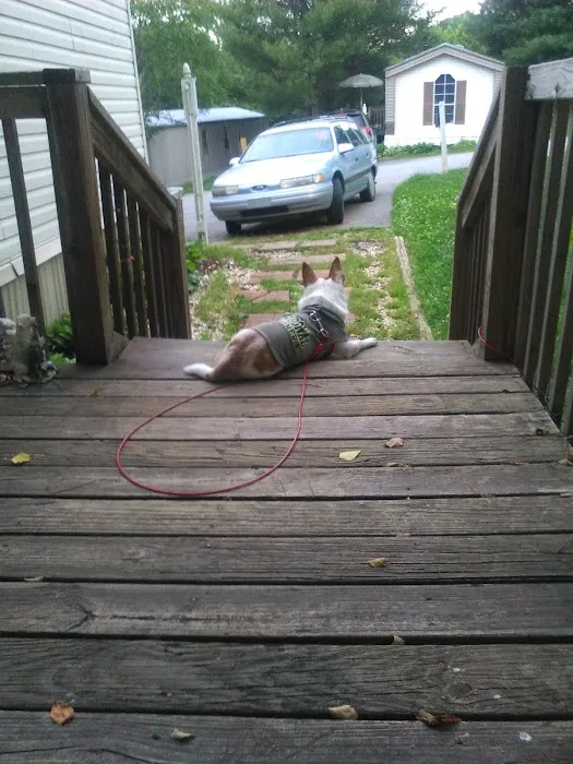 Willow Lake Manufactured Home Park Picture 5