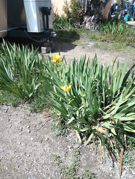 Mountain Empire Campgrounds Picture 10