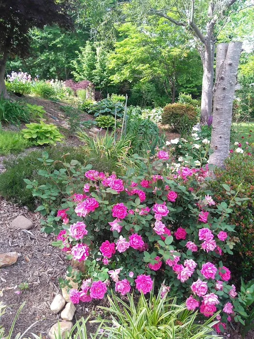 Maple Hills Residential Community Picture 5