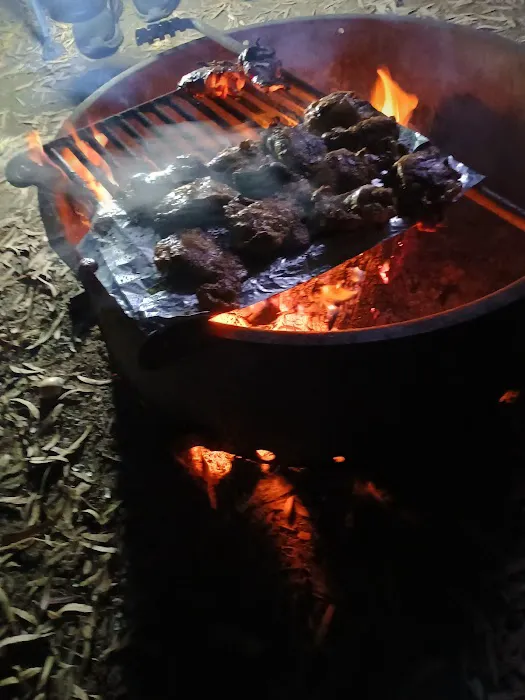 El Chorro Regional Campground Picture 7