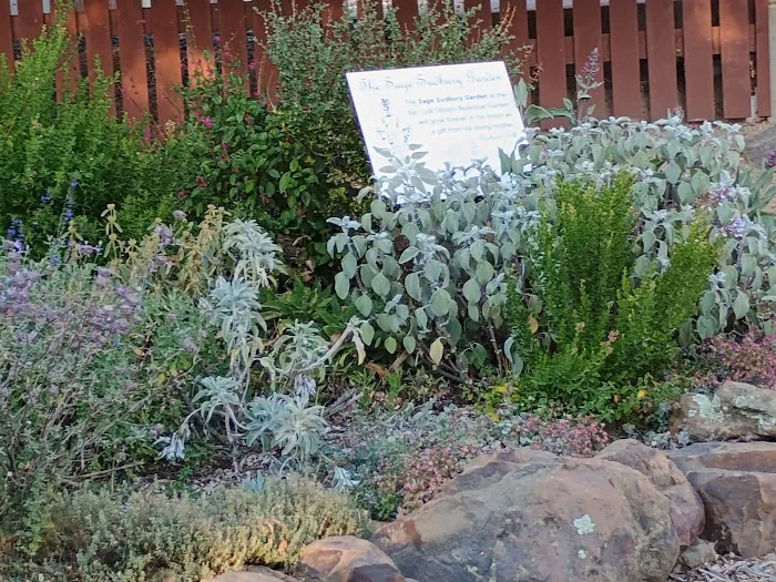 El Chorro Regional Campground Picture 3