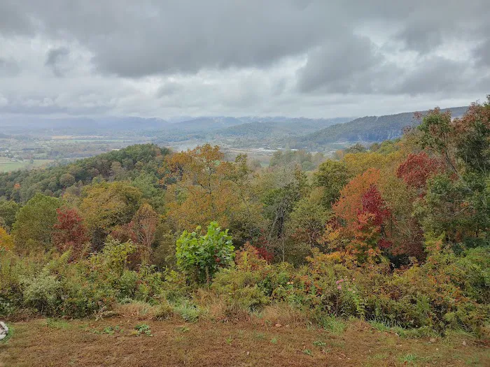 A Mountain View Vacation Picture 10