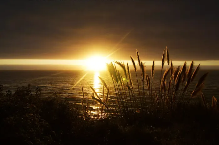 Parks Management Company Picture 3