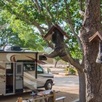 Parks Management Company ico