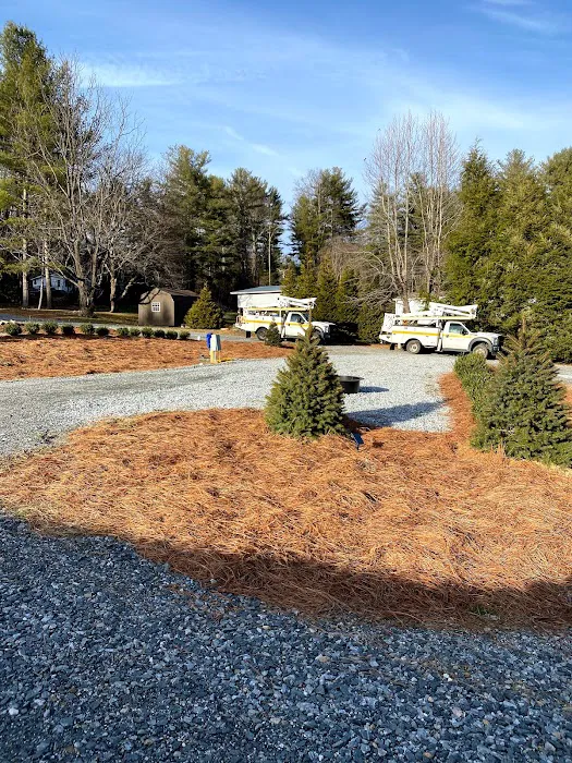 Land of Waterfalls RV Campground Picture 1