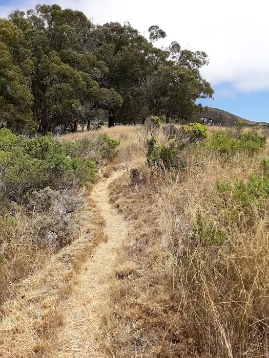 Environmental Campsite 3 Picture 2