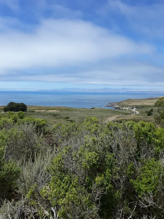 Environmental Campsite 3 Picture 1