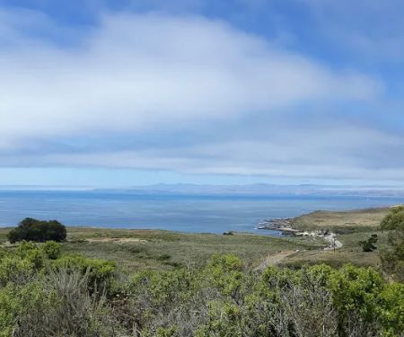 Environmental Campsite 3