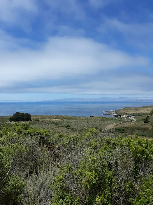 Environmental Campsite 3 Picture 3